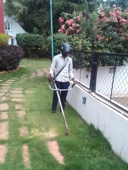 A final shot of my lawn maintenance service in action. I ensure every corner is neatly trimmed, including the edges along fences and walkways for a professional finish.