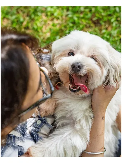 After losing two of their dogs, this family didn't think they could get another. But Cosmo, the little Shih Tzu, came into their lives and made their hearts grow three times bigger. This photo captures the joy he brings.