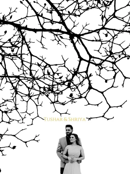 A minimalist yet powerful black and white pre-wedding portrait. The stark contrast of the tree branches creates a beautiful, artistic frame for Tushar and Shriya, highlighting their connection.