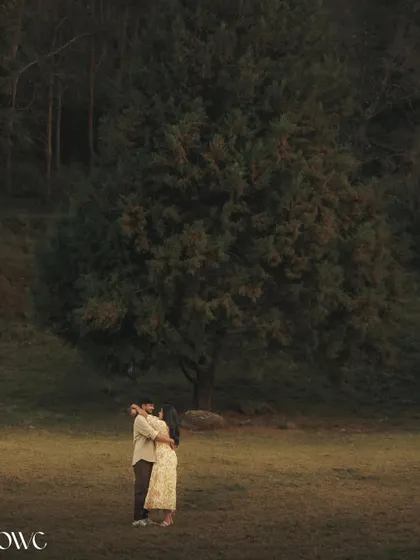 A wide, cinematic shot of a couple embracing in a vast field, dwarfed by a large tree, creating a sense of epic romance.