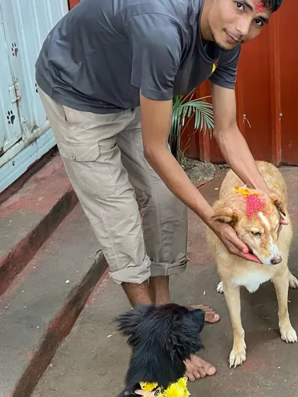A quiet moment of blessing during the Diwali festivities. We make sure even the shyest dogs feel included and cherished during our celebrations.
