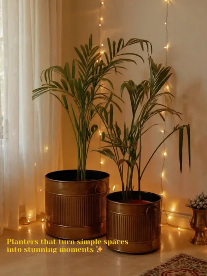 These ribbed metal planters in an antique finish can turn simple spaces into stunning moments. They are perfect for adding texture and housing tall indoor plants.