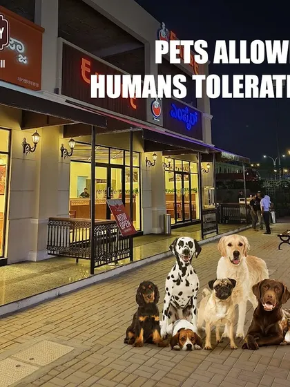 Pets allowed, humans tolerated. We love seeing your furry friends enjoying their time at Big Bay.