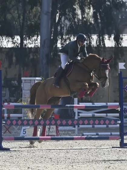 A rider and horse clear a wide oxer during the NEC Jumping competition. We prepare our students for various types of obstacles they will face in competitive show jumping.