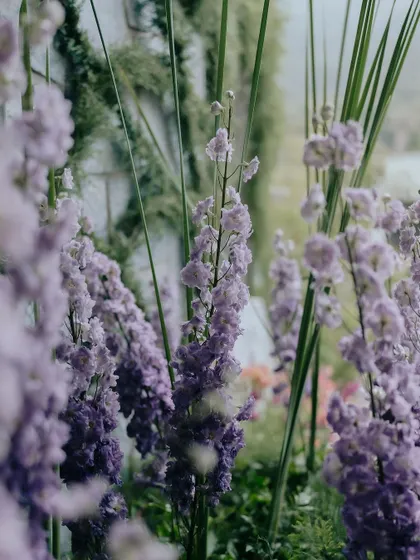 A collection of shots from Nithya & Payton's wedding at Nandi Hills, showcasing the intricate floral work and architectural details our team worked round the clock to create. This blend of two cultures was a fairy tale romance we were honored to be a part of.