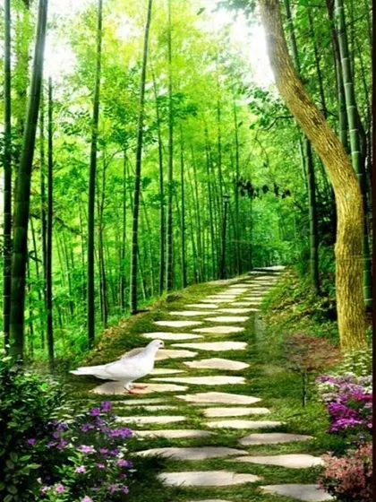 A peaceful pathway through a bamboo forest, this wallpaper mural adds a sense of depth and serenity. The image of the lone dove on the path enhances the tranquil and meditative quality of the scene.