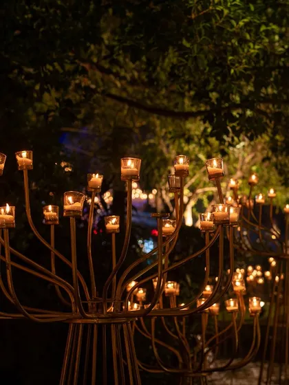 Tree-like candelabras create a forest of flickering light. This unique lighting installation added a magical and sculptural element to the outdoor evening event.