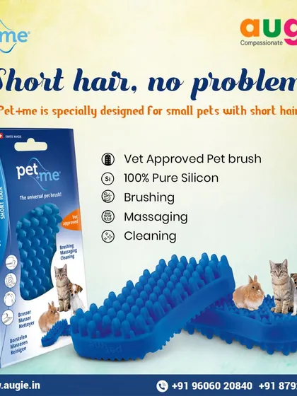 Short hair, no problem! The Pet+me brush is specially designed for small pets with short hair. This vet-approved, 100% pure silicone tool is perfect for brushing, massaging, and cleaning.
