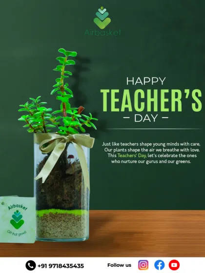 Happy Teacher's Day. Just like teachers shape young minds with care, our plants shape the air we breathe with love. This terrarium is a perfect way to celebrate the gurus who nurture us.