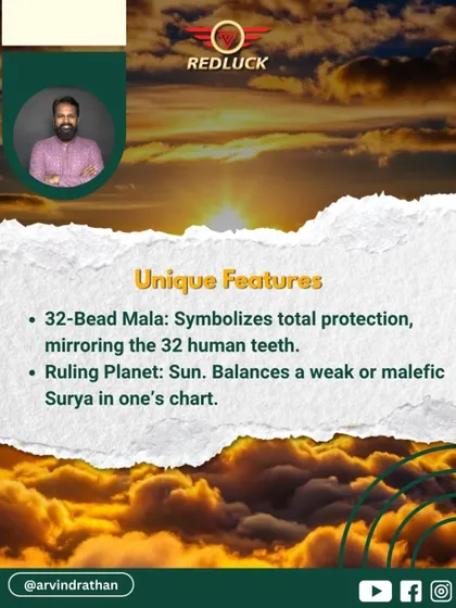 The 12-Mukhi Rudraksha has unique features. A 32-bead mala symbolizes total protection, mirroring the 32 human teeth. As its ruling planet is the Sun, it is a powerful remedy for a weak or malefic Surya in one's astrological chart.