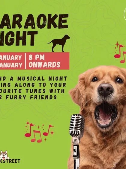 What happens at karaoke, stays at karaoke. A poster for our January karaoke nights.