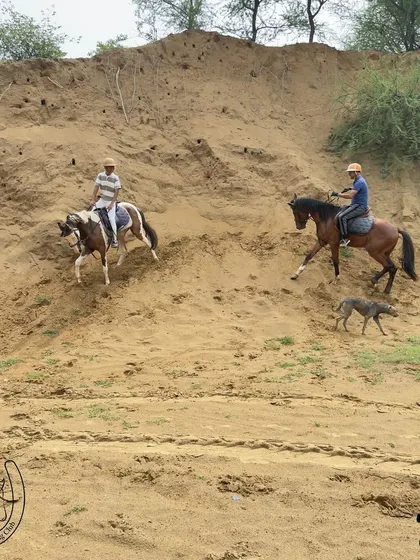 For those who seek a bit more challenge, our trails include varied terrains like these sandy inclines. It’s a great way to build confidence and experience the capability of our trail horses, with one of our friendly dogs often trotting alongside.