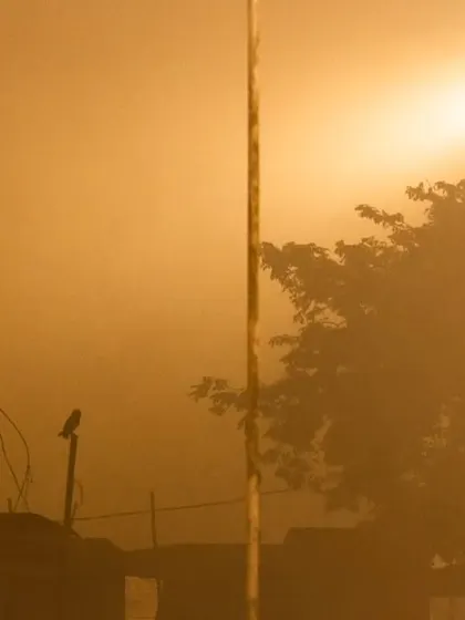 The same foggy scene with a different white balance, giving the image a warm, orange glow from the streetlights.