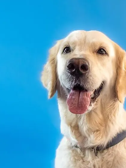A classic, smiling portrait of Zoey. These are the timeless shots that families will treasure forever.
