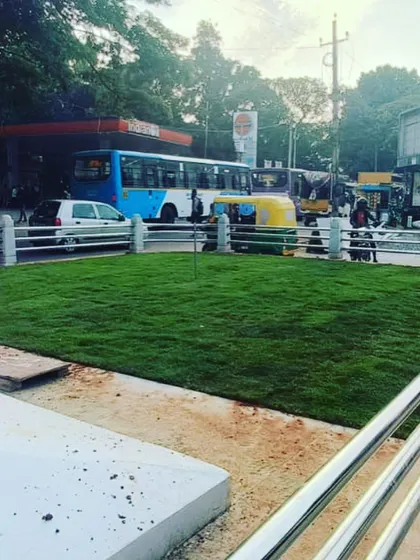 A fresh green lawn installed in a busy urban area, instantly improving the look of the space.