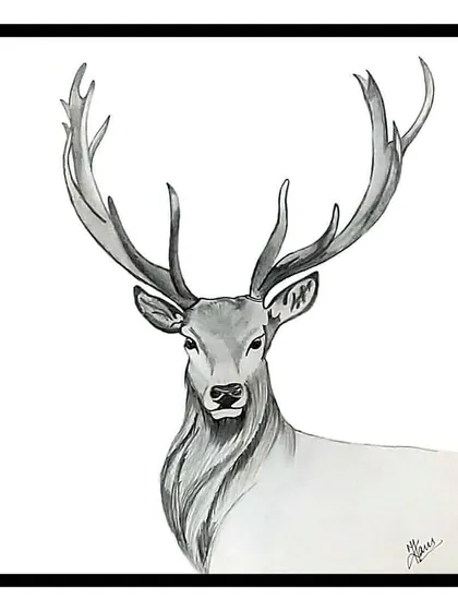 A majestic deer sketched with pencil. I focused on the powerful antlers and the gentle gaze to create a portrait that feels both royal and wild.