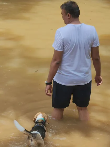 Enrichment is also about shared experiences. Joining your dog in the water not only helps them feel safe but also deepens the bond you share.