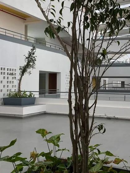 Indoor landscaping on an upper floor provides a touch of nature and a quiet place for rest. We believe in integrating green elements throughout the building, not just on the ground level.