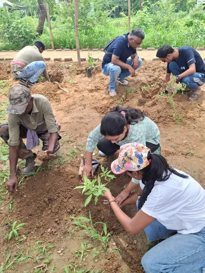 Volunteers from Infoglen work alongside our ground team, getting their hands dirty to restore the Aravali ecosystem.