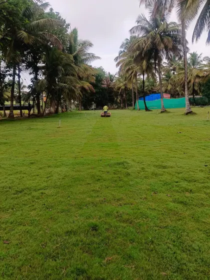 A large estate lawn being mowed with a ride-on mower. This highlights my ongoing maintenance services to keep large landscapes in pristine condition.