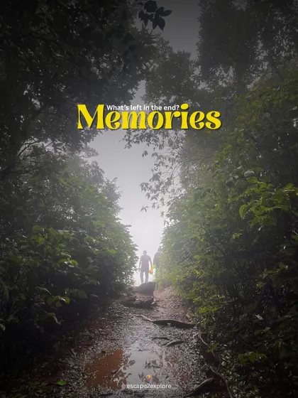 In the end, all we have are memories. A lone trekker disappears into a foggy forest path, a powerful image of exploration and solitude.