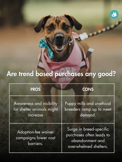Are trend-based purchases good? We weigh the pros, like increased awareness for shelter animals, against the cons, like the rise of puppy mills and abandonment.