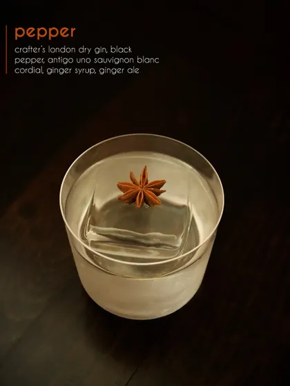A minimalist shot of our Pepper cocktail. The clear liquid over a large ice cube emphasizes its clean, crisp profile, while the star anise garnish hints at the complex aromatics of black pepper, ginger, and gin.