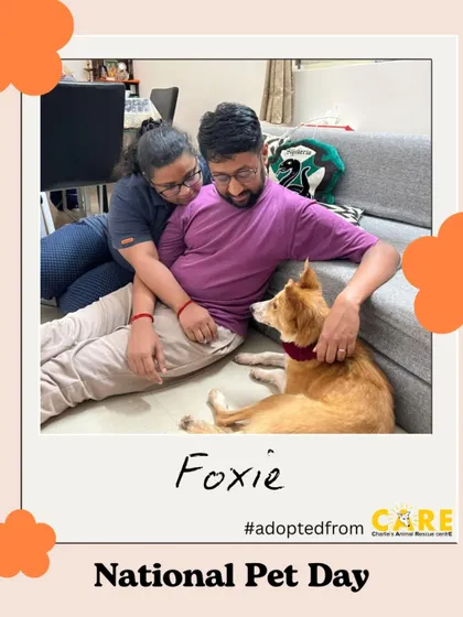 A polaroid from National Pet Day featuring Foxie and her family. A beautiful reminder of the bond that adoption creates.