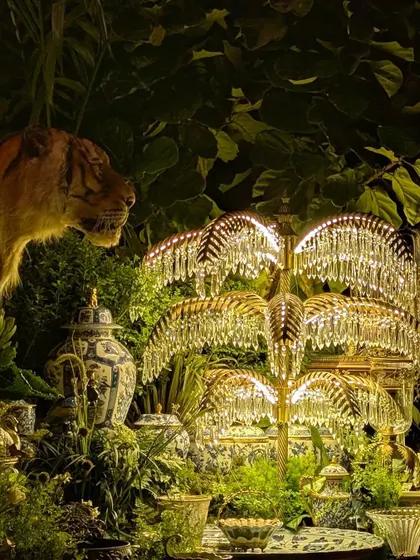 The interplay of light and shadow was key to the Sabyasachi decor. Here, a crystal lamp illuminates a collection of blue and white porcelain vases and a tiger statue, all surrounded by a dark, dense wall of our carefully selected foliage.