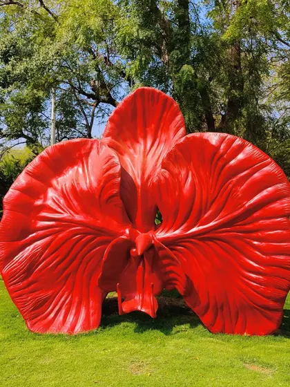 A giant, vibrant red flower sculpture stands bold against a green lawn. This piece, titled 'Reclaiming Red', is an example of our work in creating oversized, nature-inspired forms that make a dramatic statement in any outdoor setting.