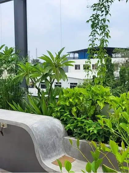 This is a duplicate of image 26. This is a view of the landscape garden we designed and maintain for F Gear in Bengaluru. The project features built-in concrete planters with a modern, curved bench, filled with a mix of lush foliage and flowering plants to create a rooftop retreat.