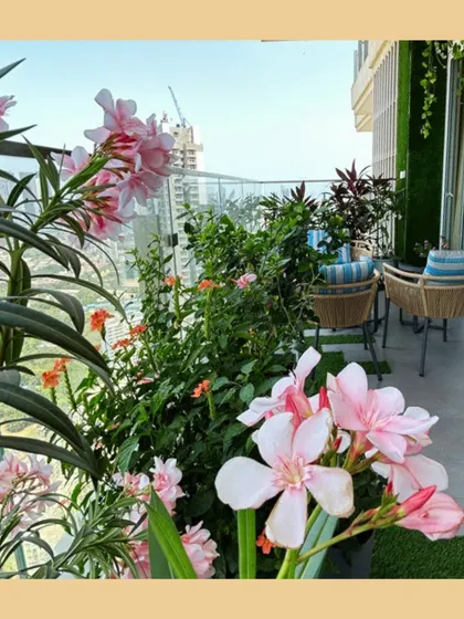 A vibrant balcony filled with pink Kaner and orange Crossandra flowers. This setup shows how we use a mix of flowering plants to create a colorful and joyful personal retreat.