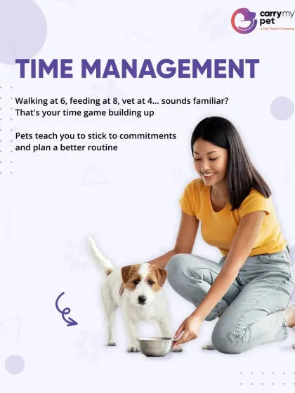 Pets are the best teachers of time management. From early morning walks to scheduled feeding times, they help you build a routine and stick to commitments.