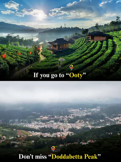 A trip to Ooty is incomplete without visiting Doddabetta Peak, the highest point in the Nilgiris. The panoramic views are incredible.