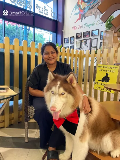 A dapper husky dressed in a bow tie, sitting politely next to his parent. We love seeing our furry guests dressed up for their day out.