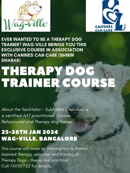Here is another look at the Therapy Dog Trainer course I help facilitate. It's an enriching journey that helps transform a four-legged friend into a compassionate, skilled therapy dog.