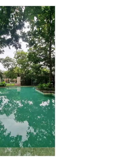 The House in a Grove, seen from the pool, is designed to be almost invisible within its lush surroundings. It's an architecture that prioritizes the experience of being in nature.