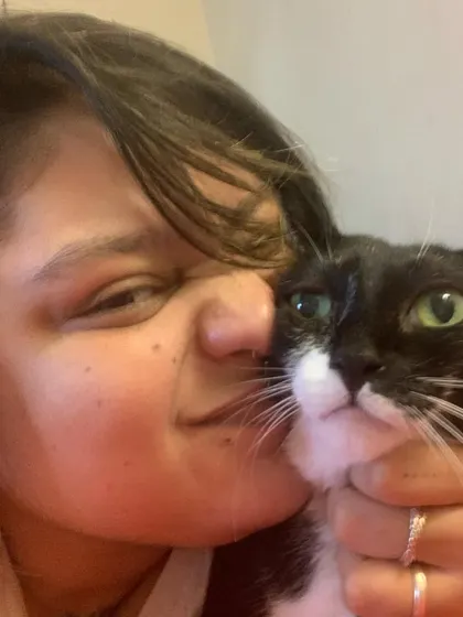 Cuddles with this handsome tuxedo cat. Every cat that comes into my care, whether for boarding or rescue, leaves a paw print on my heart.