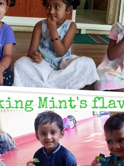 Scenes from our watermelon mojito making day, a perfect summer activity where children sliced, blended, and strained to create a refreshing drink.