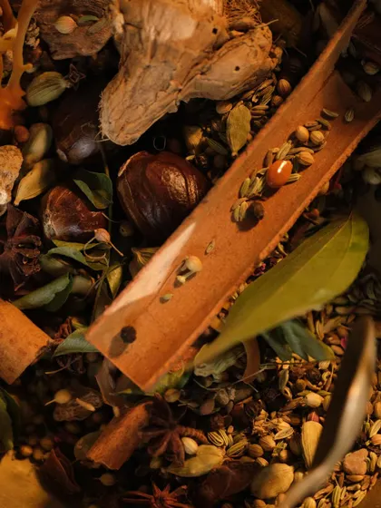 A close-up, artistic shot of a mix of whole Indian spices. The dark and moody lighting highlights the rich textures and colors, perfect for a premium spice brand.