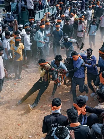 The controlled chaos of 'Hattihabba' is captured from above, showing the dust, the struggle, and the determination of the participants. This is a key moment in the traditional festival.