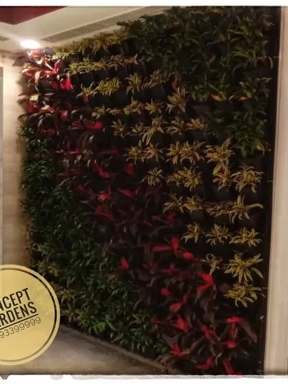 A natural vertical garden installed in a narrow indoor space. The pattern of red and green plants adds a splash of color and life, making the area feel more vibrant.