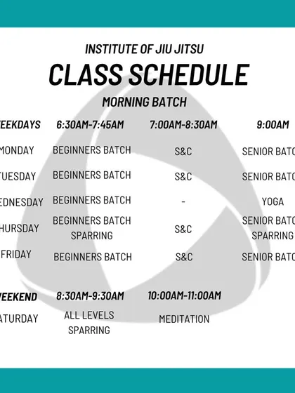 An overview of our class structure, including Beginners Batch, Strength & Conditioning, Senior Batch, Yoga, and all-levels Sparring. We aim to provide a holistic training experience.