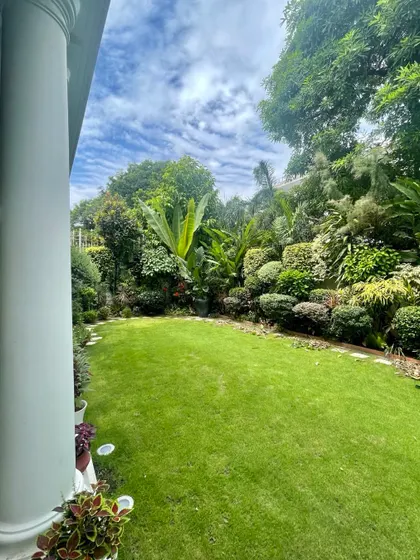This tropical garden in a Gurugram villa was designed five years ago. It has now grown into a dense, lush jungle, showcasing how a well cared for garden matures and becomes even more beautiful over time.