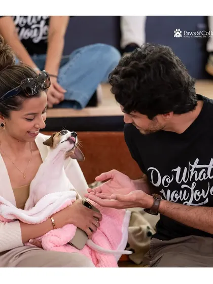 A beautiful moment of interaction between a potential adopter and a sweet dog. These events are all about making connections and finding the perfect match between pets and people.