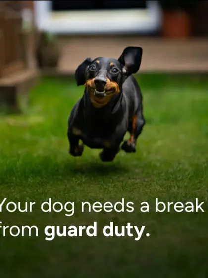Your dog needs a break from guard duty. While a barking dog can be a deterrent, our comprehensive AI and human response system provides a more reliable layer of protection.