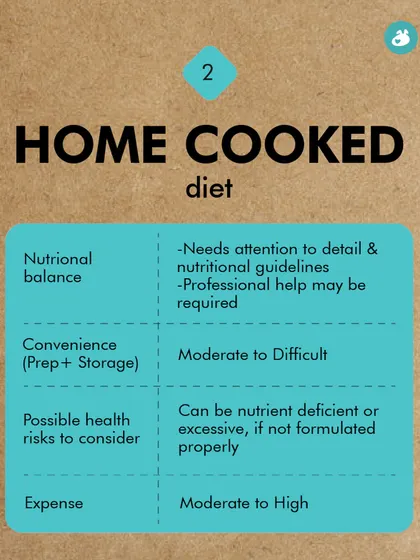 A home-cooked diet can be a great option, but it requires careful attention to nutritional guidelines. This chart weighs the pros and cons, noting that professional help may be needed to avoid nutrient deficiencies.
