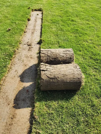A close-up of our Bermuda grass turf rolls, showing the thick, healthy sod that ensures a beautiful lawn.