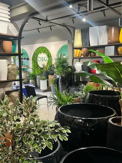 A wide view of our showroom floor, showcasing large statement planters perfect for lobbies, entryways, and spacious rooms. We stock everything from large black glossy pots to rustic, textured designs.