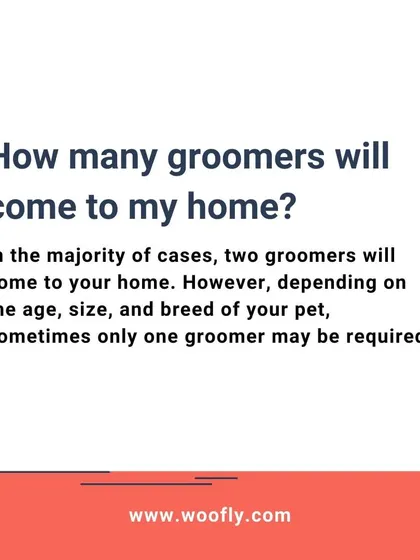 Usually, two groomers will arrive to ensure your pet is handled safely and efficiently. However, for smaller or very calm pets, one groomer may be sufficient.